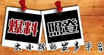 中国最新爆料新闻网,聚焦热点事件，揭秘社会真相